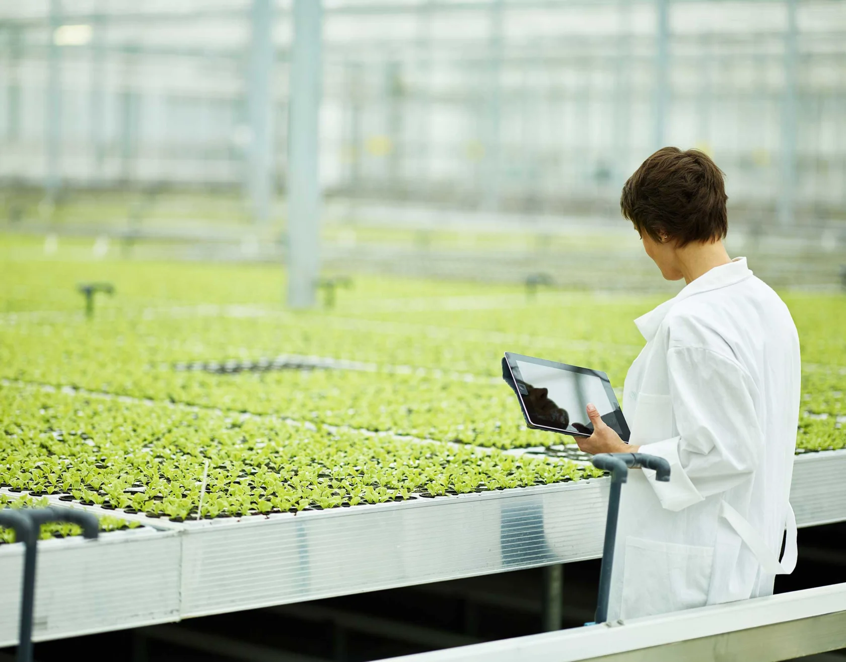 Precision Agriculture
