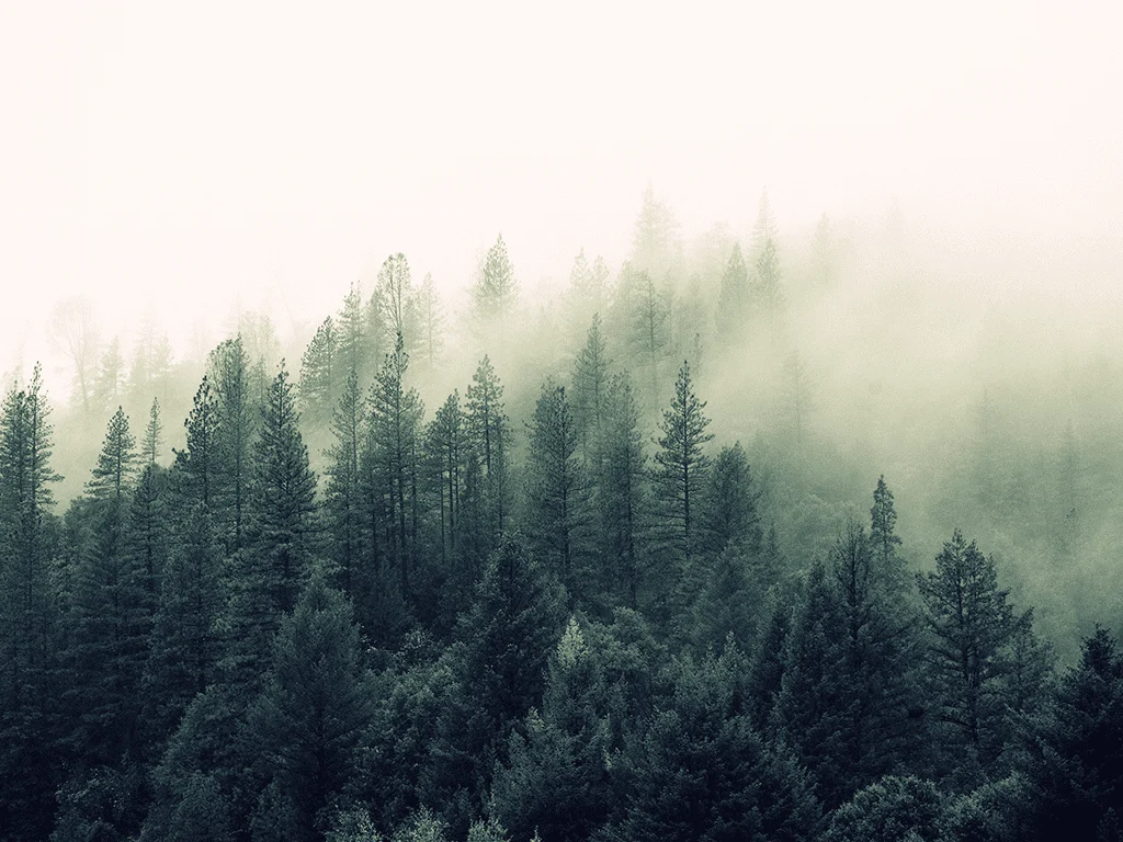 forestmachine