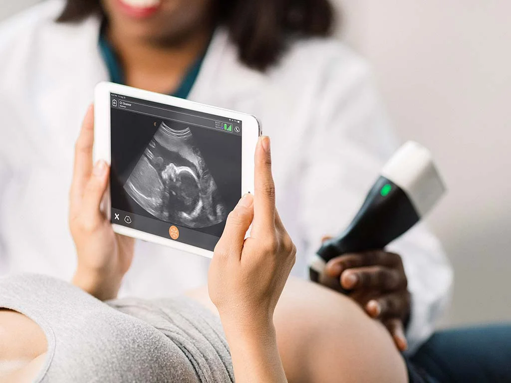 pocus project web 2