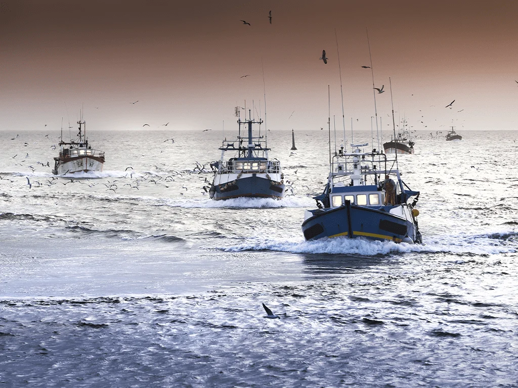 protectingouroceans