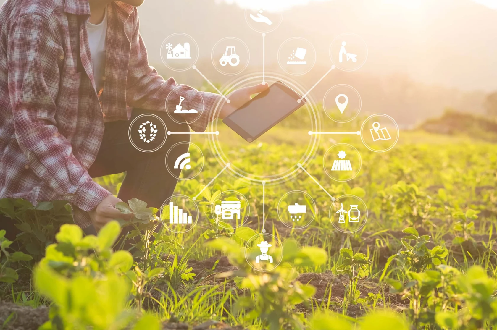 protecting global food supply chains impact story