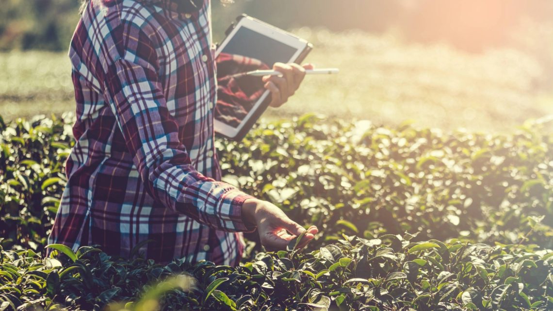 AI in Agriculture
